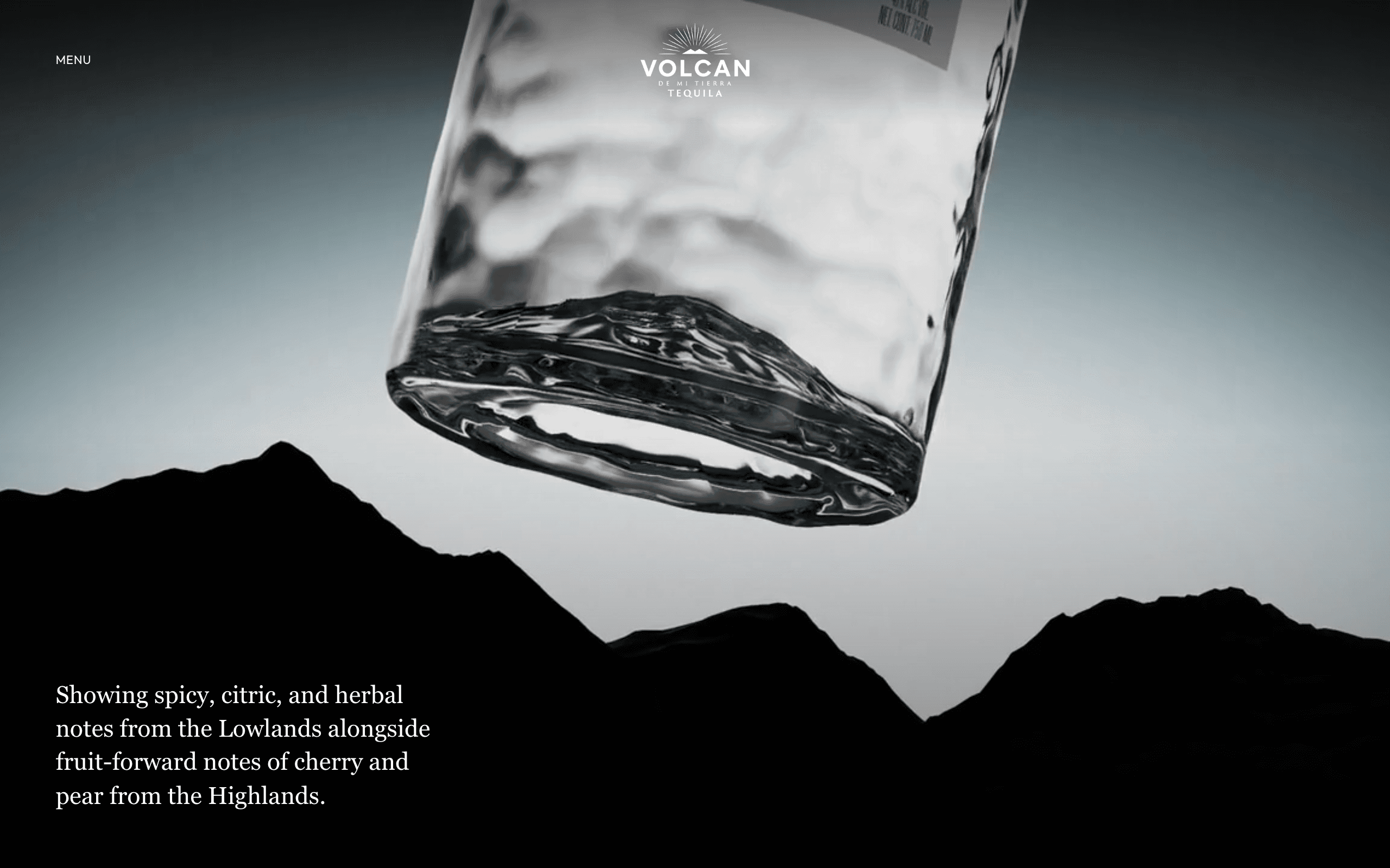 Blanco — tasting notes