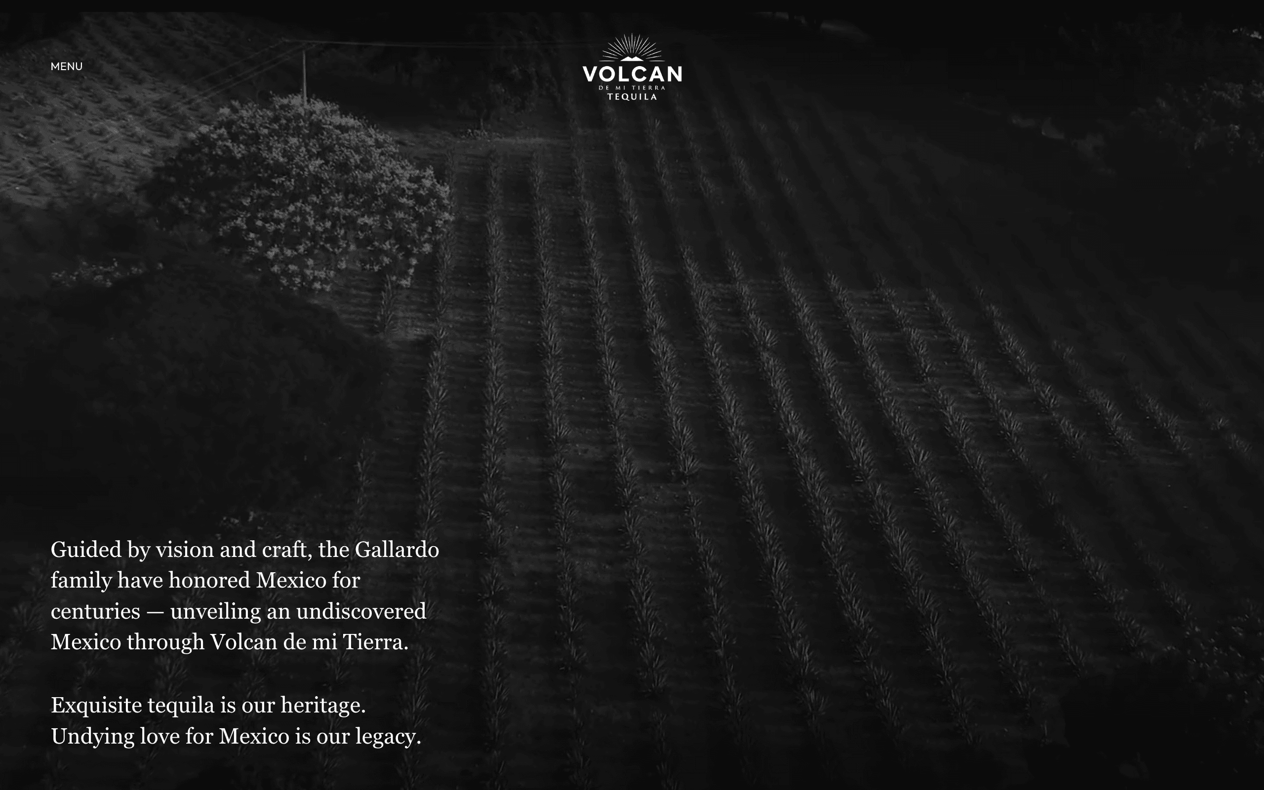Homepage — the Gallardo legacy